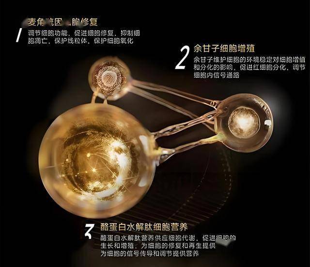 理财新手不要轻易尝试EA智慧交易平台的优缺点揭秘