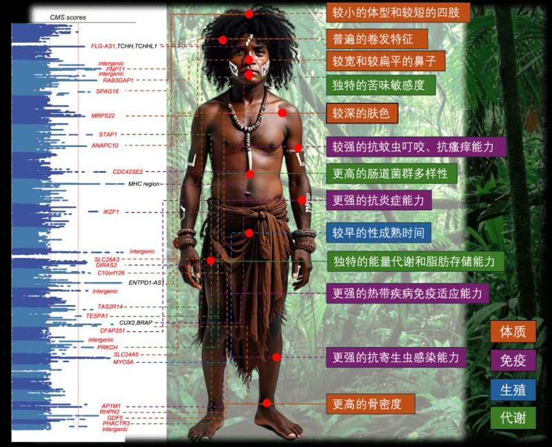 掌握这个EA智慧交易平台，轻松赚取额外收入！你还在等什么？